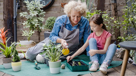 Vrijeme s bakama i djedovima: zašto je dragocjeno i kako ga sačuvati