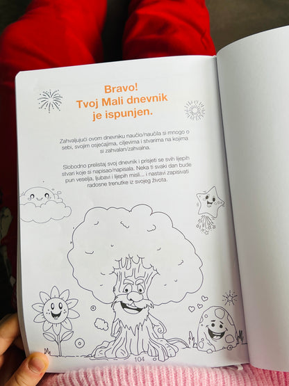 Moj mali dnevnik